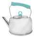 Carol 1.7 Liters Stainless Steel Kettle 4