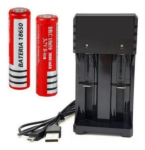 Generic 2 Batteries 18650 Without Nipple + Smart 2-Slot Charger 0