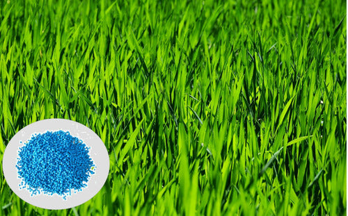 Fertilizante Nitrofosca Azul - Alta Calidad! - 25 Kg 3