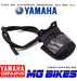 Luz De Patente Yamaha Original Mt 03 R3 Mg Bikes 1