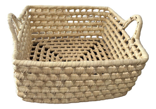 Rectangular Fruit Basket 100% Palm Container 1