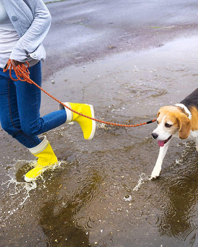 Lanwandeng Reflective Dog Leash, Sizes: 3m/4.8m/9.1m/15.2m/30.5m 7