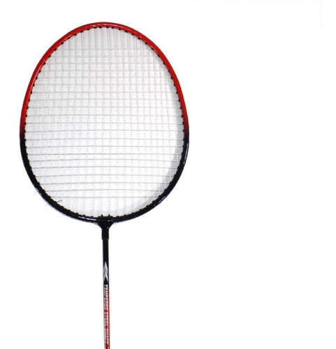 Set Badminton Annezi 4 Raquetas Acero + 2 Plumas + Red Bolso 1