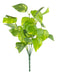 Premium Quality 35cm Artificial Potus Vara Plant 0