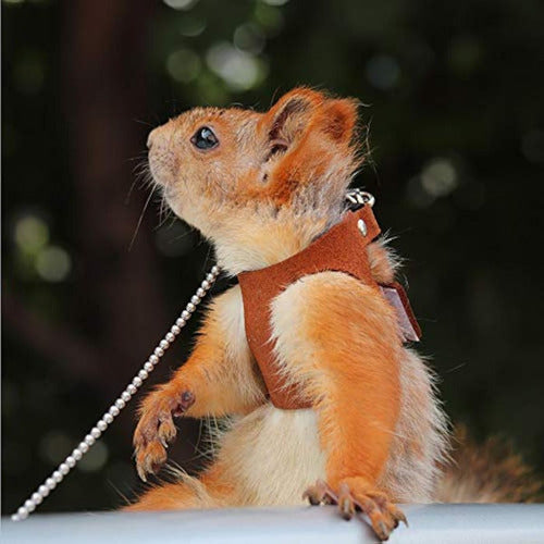 ADNIKIA Squirrel Leash Traction Rope 1