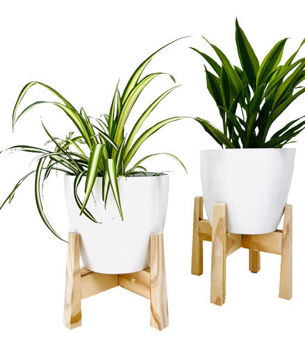 Diseño Terco Economic Planter Stand Set of 2 + 2 Plastic Pots 2