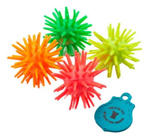 Pet Toy Ball for Dogs 5cm Reward 3