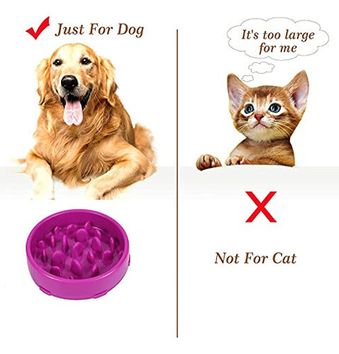 Jasgood Medium Slow Feeder Dog Bowl, Purple 3