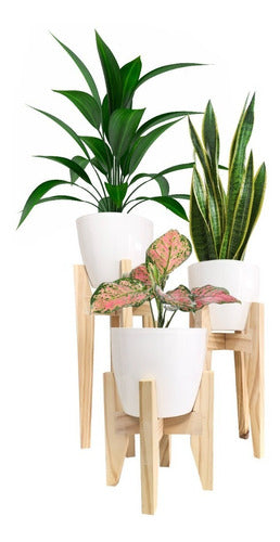 Diseño Terco Wooden Plant Stand Set of 2 + 2 Premium Planters 2