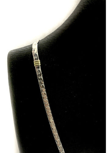 Paterson Joyería Paris Plana 3mm 45cm Silver 925 and Gold 2