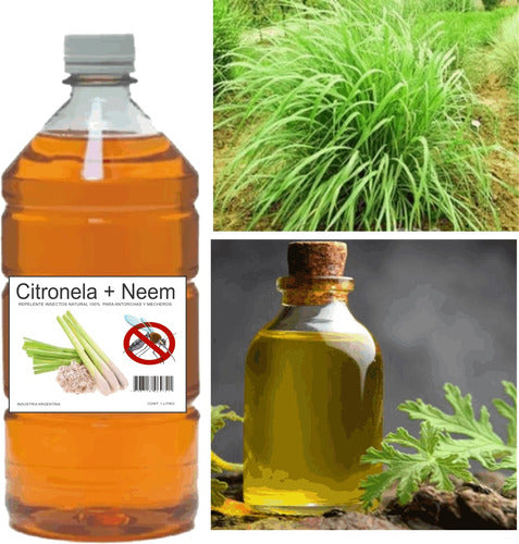1 Liter Citronella & Neem Pure Essence for Diluting in Alcohol for Super Floors 1