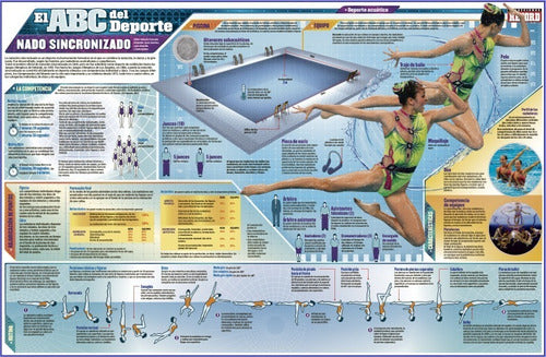 Nado Sincronizado - Deporte Olímpico - Lámina 45x30 Cm. 0