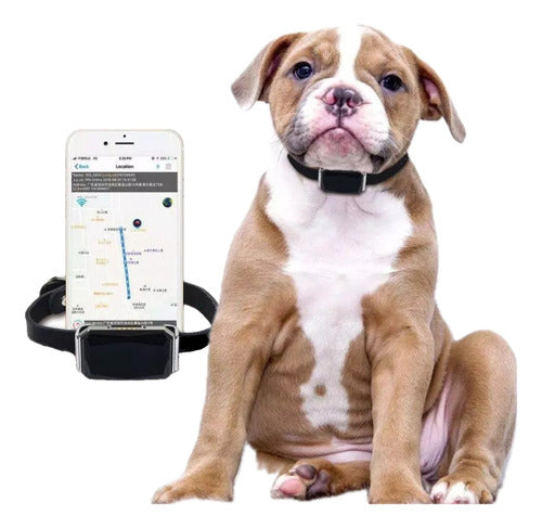 Mini GPS Tracker Locator Pet Collar 0