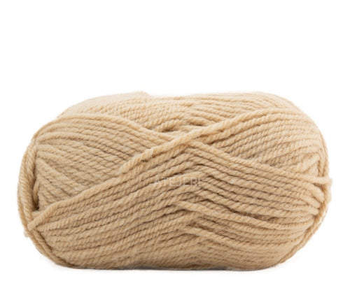 MIA Pampa Merino Semi-Thick Yarn Skein 100 Grams 55