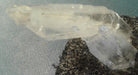 Clear Quartz Rock Crystal Faden Mineral 1