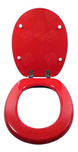 Lacquered Wood Toilet Seat with Stainless Steel Hardware 4