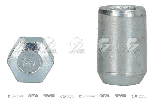 Ind.Arg. Antitheft Nut for Ecosport II 2007/2013 - 5 Pieces Set 1