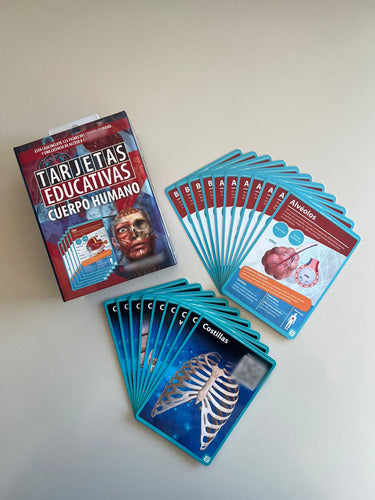 Flashcards Tarjetas Educativas Cuerpo Humano - 125 Fichas 3