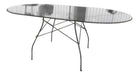 Tisera Oval Glass Table Chromed Legs Dining Home MDV-11 1