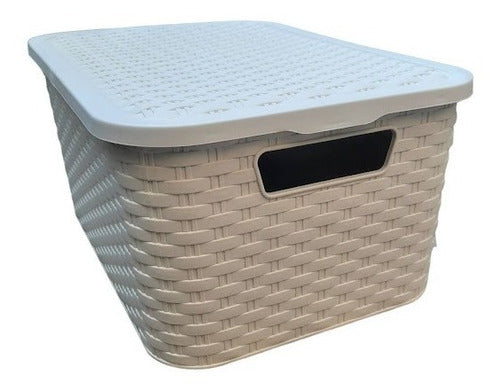 2 Plastic Rattan-Like Medium-Size Storage Baskets with Lid 0