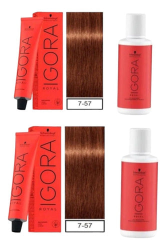 Schwarzkopf Igora Royal Kit Tintura 7-57 + 1 Oxidante 60m 7