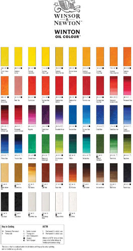 Winsor & Newton Winton Oil Colors - 37ml x 12 Pack 2