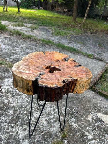 Rustic Tables 5