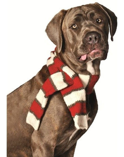 Chilly Dog Whitered Pet Scarf Large 0