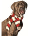 Chilly Dog Whitered Pet Scarf Large 0