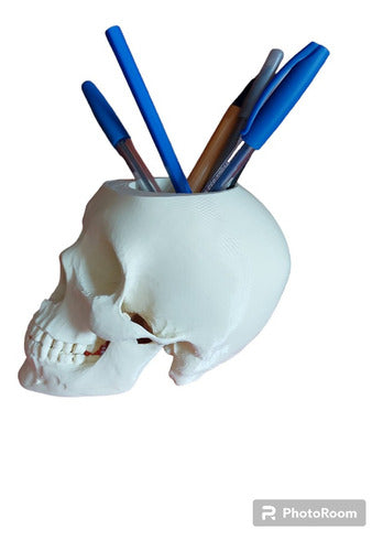 Superior Quality 3D Anatomical Skull Pencil Holder Gift 3