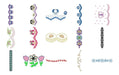 130 Embroidery Designs Templates P/Embroiderer Borders 6