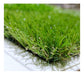 GramaGreen Artificial Grass Synthetic Turf Roll 25mm 2