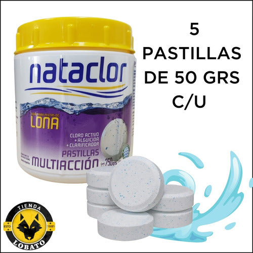 Nataclor Kit Pastillas Boya Cloro Triple Acción 250g Piletas 6