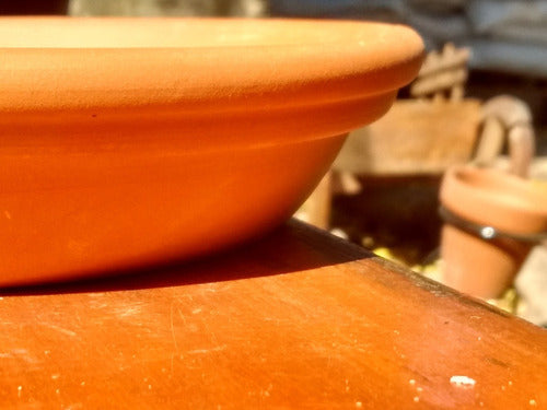 Round Clay Pot Saucer Blum 14cm 4