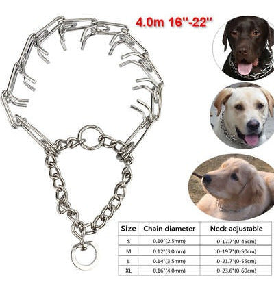 Professional Dog Training Chain Choke Collar 3