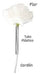 AP! White Rose Diffuser Flowers - Set of 10 Units 1