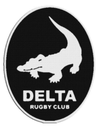 Generic Delta Rugby Club Rugby Shield Patch 7