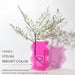 DaizySight Acrylic Flower Vase for Room Decoration 1