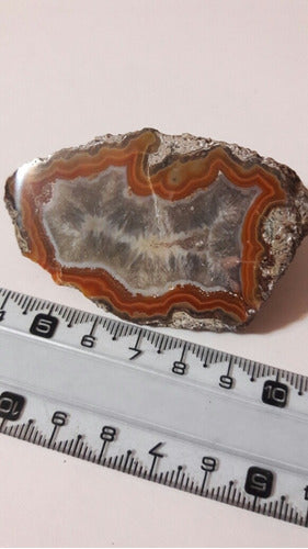 Unique Agate Condor Geode with Stunning Crystallization 0