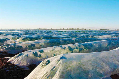 Tela Manta Termica Antihelada Protege Planta Invernade40x1.4 5