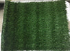 Dog Stuff Artificial Grass Replacement Mat 0