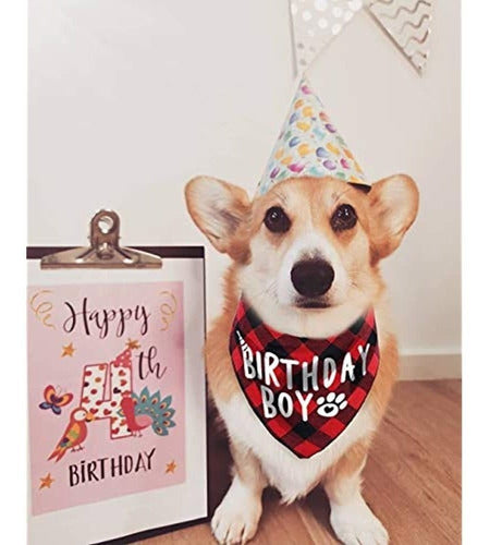 Jpb Birthday Dog Bandana 2