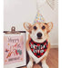 Jpb Birthday Dog Bandana 2