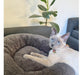 Open Pet Corderito Pet Bed 50cm Plush Nest for Dog Cat 18