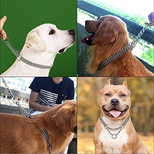 Beirui Dog Pet Martingale Pinch Metal Slip Choke Collar De C 2