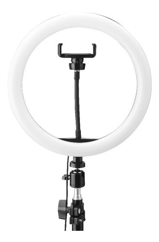 Braun Tabletop Tripod with 20cm Ring Light Kit for iPhone Samsung Premium 5