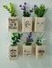 HandMade Mini Plant Pots with Magnet and Artificial Plant Set 7