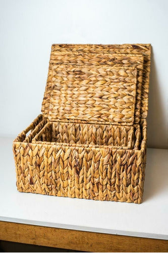 Marian Todo Organizado Seagrass Basket with Lid and Handles - Large 3