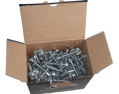 TF 100 Self-Drilling Screws Roof 14x3 Washer Rubber 1