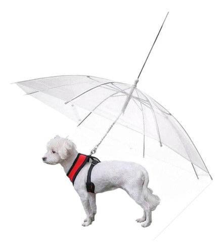 Oh My Pet Transparent Umbrella for Dogs - Protects from Rain 1